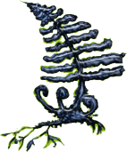 fernLFT (10K)