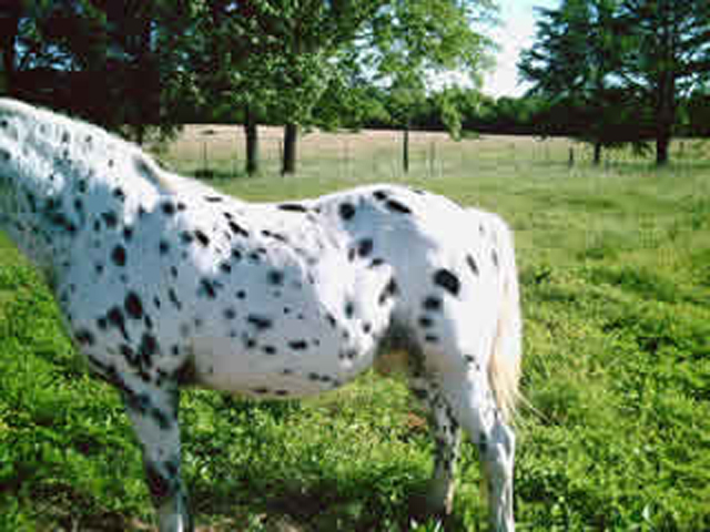 PICT0363